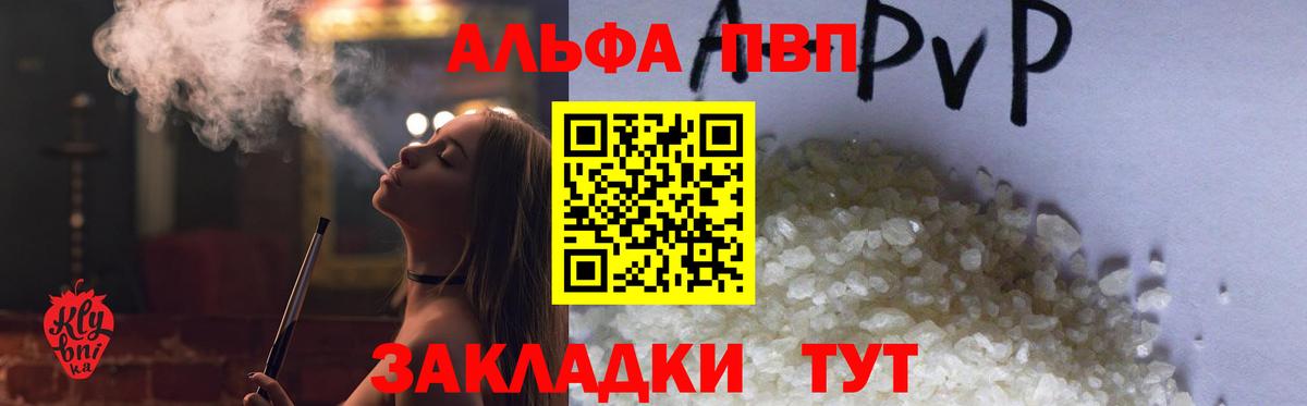 Альфа ПВП СК Сунжа