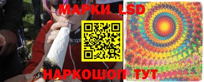 шишки Можайск